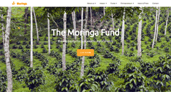 Desktop Screenshot of moringapartnership.com